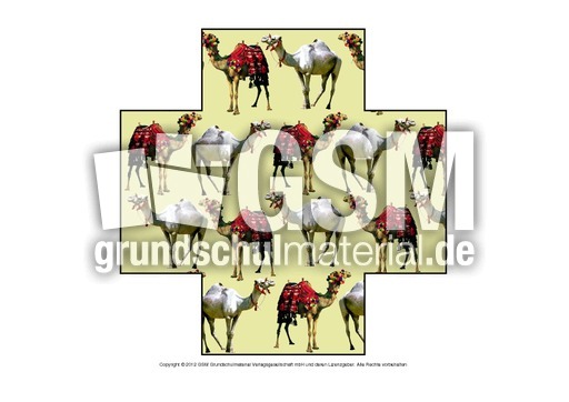 Formen-Dromedar-1-7.pdf